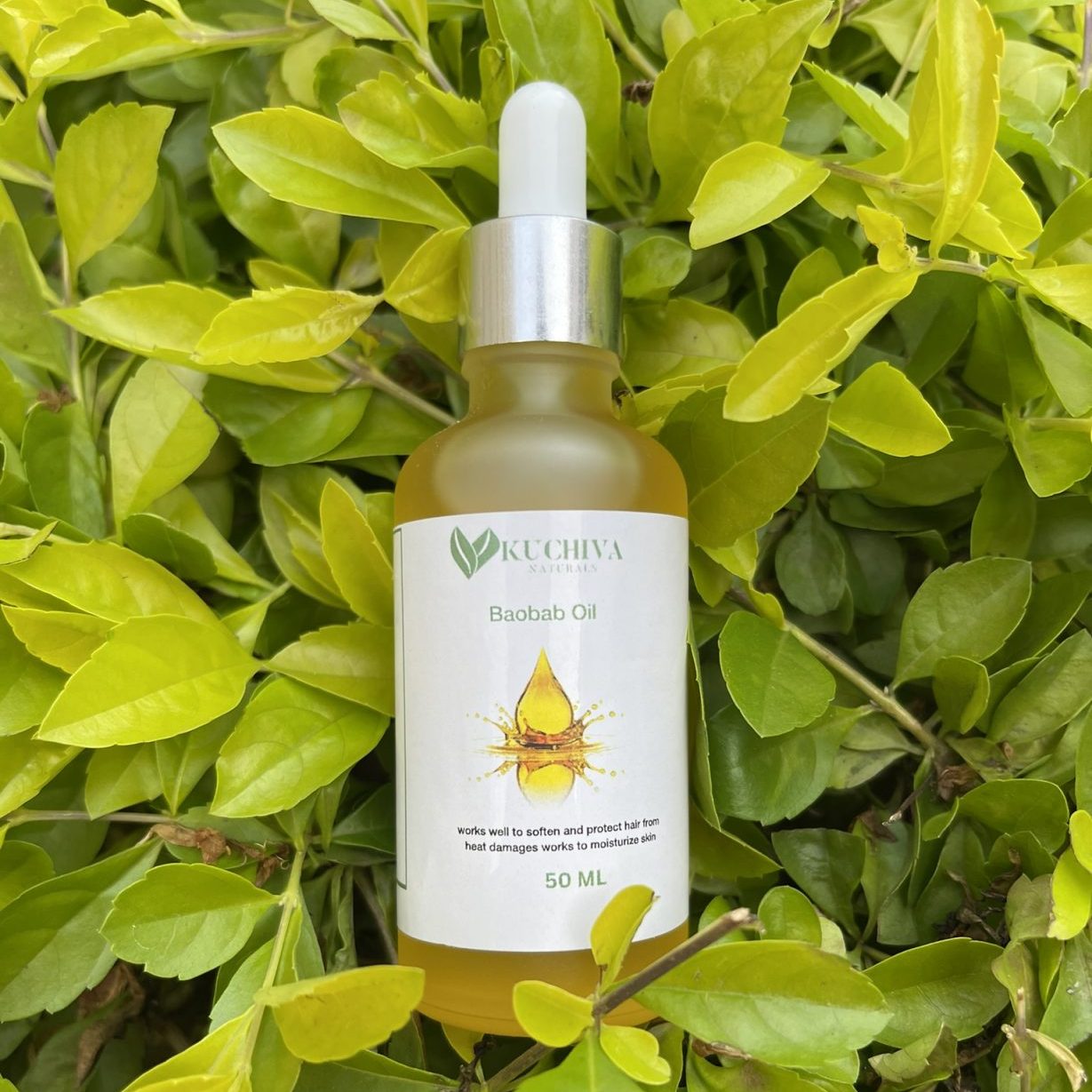 baobab oil (1)